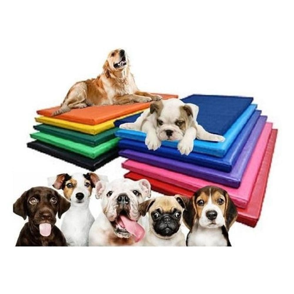 Caminha Pet Cães 70X50Cm Impermeável Colchonete Pet