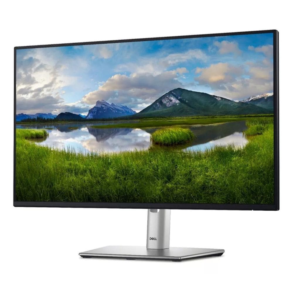 Monitor Dell Professional P2425H
