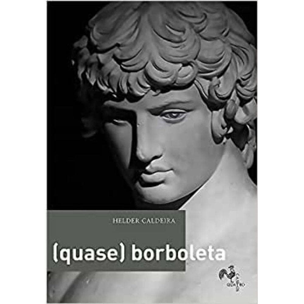 (Quase) Borboleta