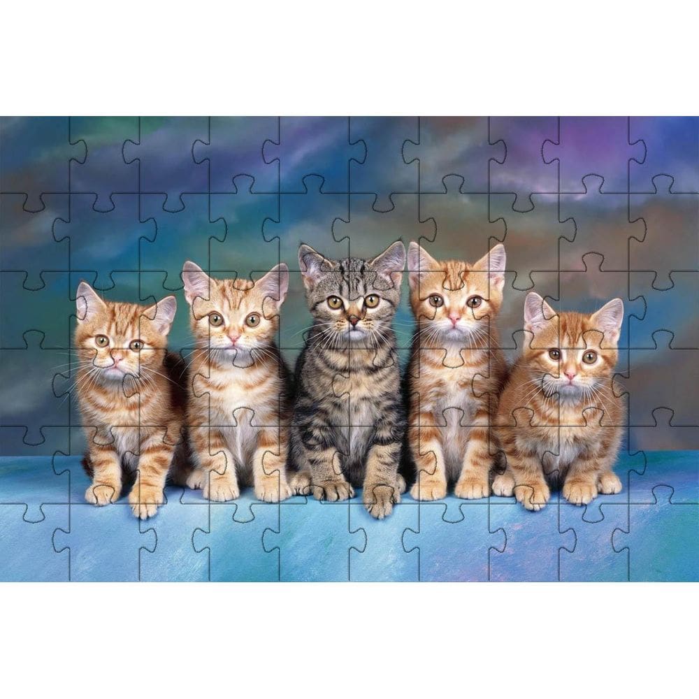 Kit 2 Quebra-Cabeça Inclusivos Gatos Espertos 24 Peças