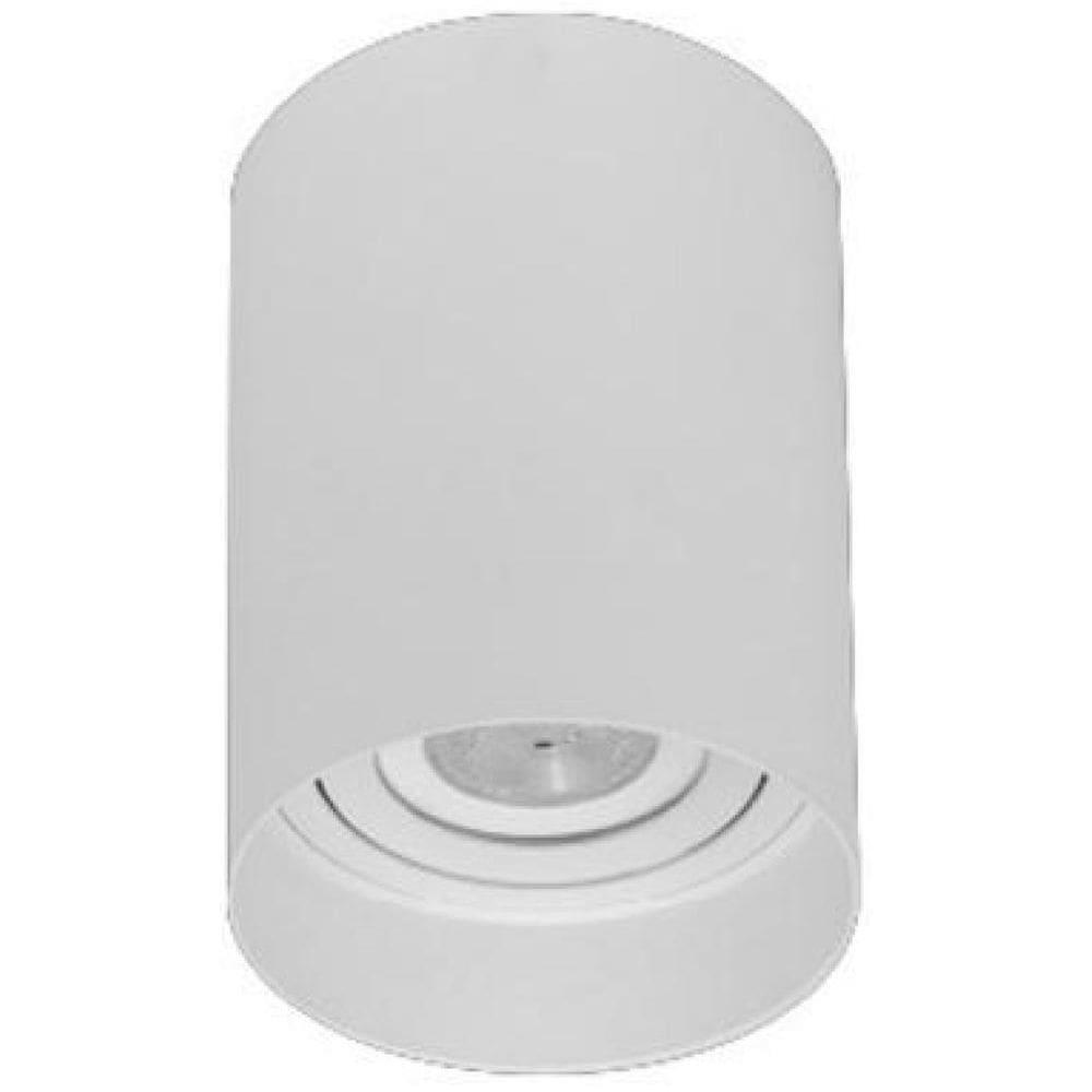 Plafon Sobrepor Direcionavel Redondo Branco E27 Par20 Zan95