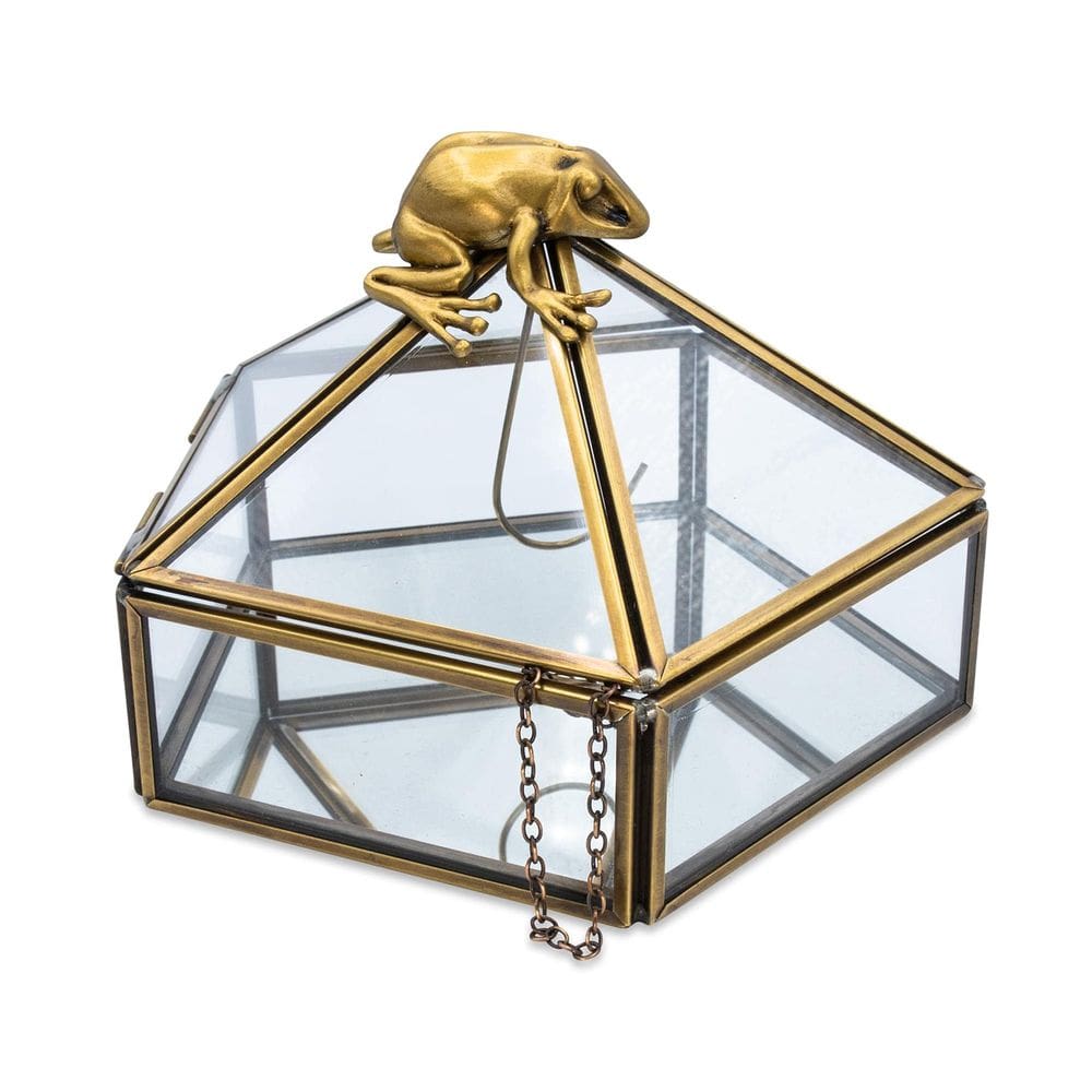 Organizador de caixas de joias Ukonic Harry Potter Gold Chocolate Frog