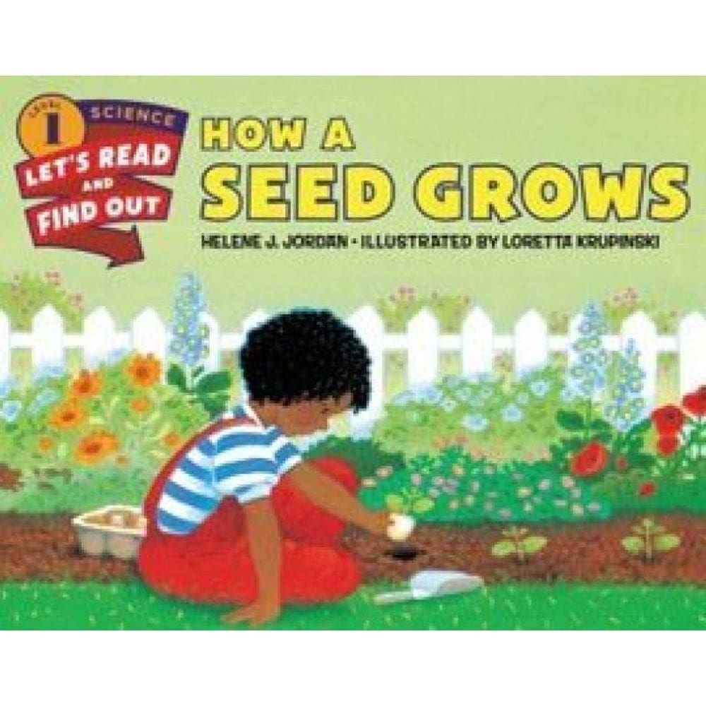 How A Seed Grows