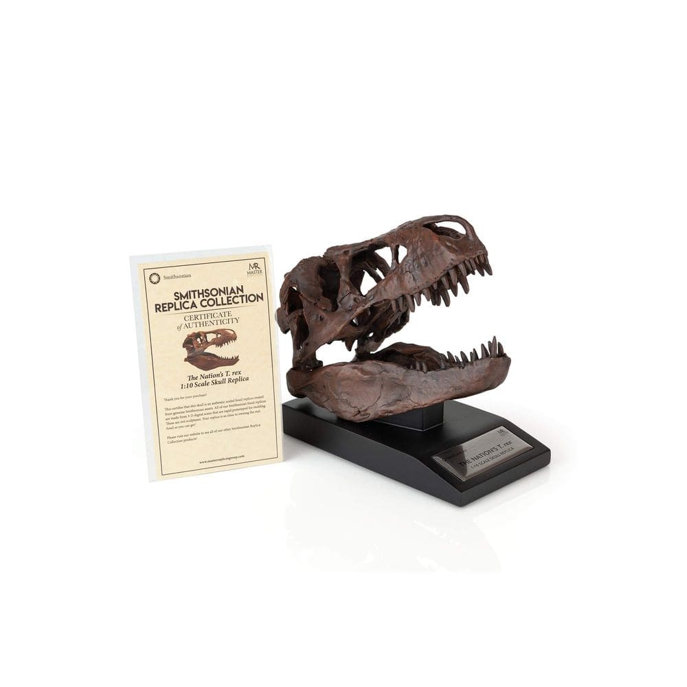 Statue Master replica o crânio de T-Rex da nação com 15 cm de altura