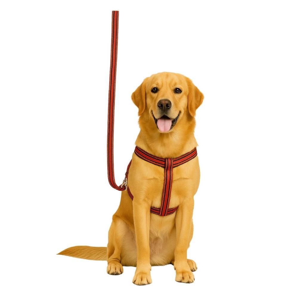 Guia Peitoral Coleira Pet Cachorro Médio Porte Nº5 Passeio