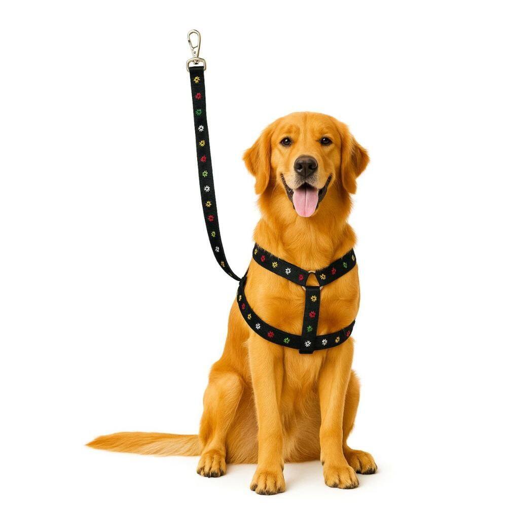 Guia Peitoral Coleira Pet Cachorro Cão Pequeno Porte Nº1