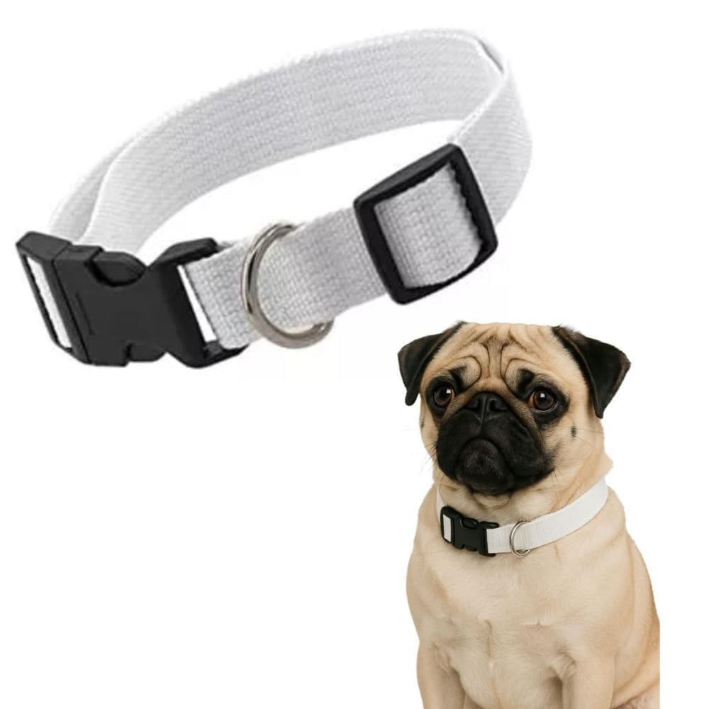 Coleira Pet Cachorro Poliéster Passeio Cão com Luz Branco