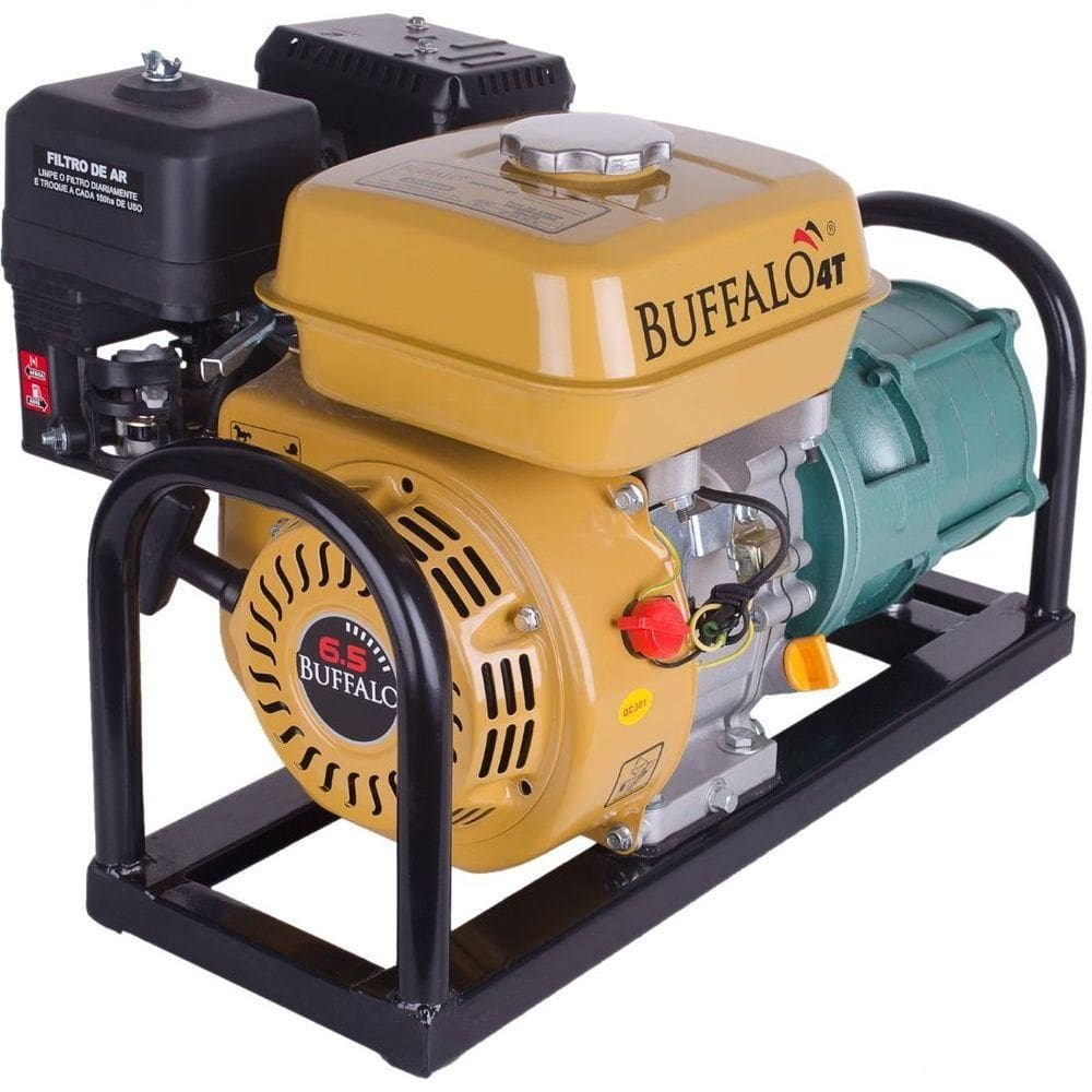Motobomba Gasolina 4 Estágios 1`` 6,5cv P Manual Buffalo