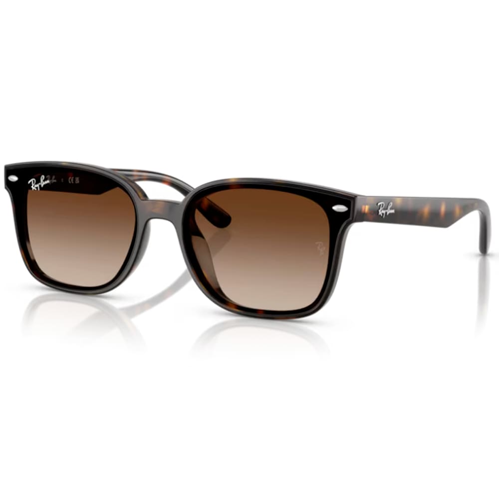 Oculos Solar Ray-Ban Rb4461d 710/1364