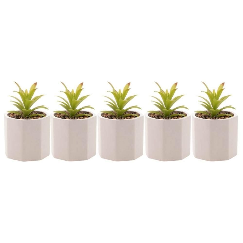 Kit 5 Cachepot Cimento Suculenta Artificial Branco 10x15cm Wolff Vaso Pequeno Decorativo Escritórios