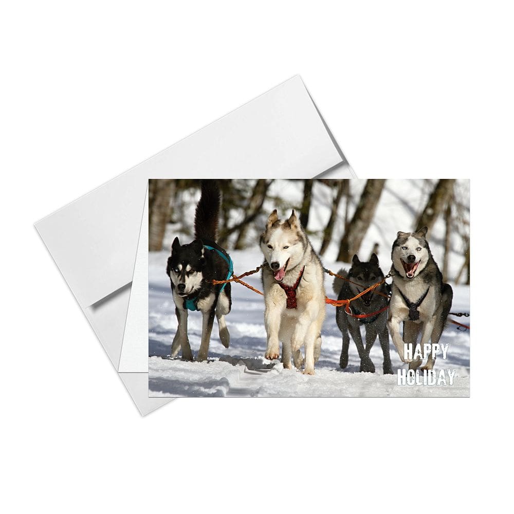 Conjunto de 20 cartões comemorativos com impressão superfina Happy Holiday Dogs