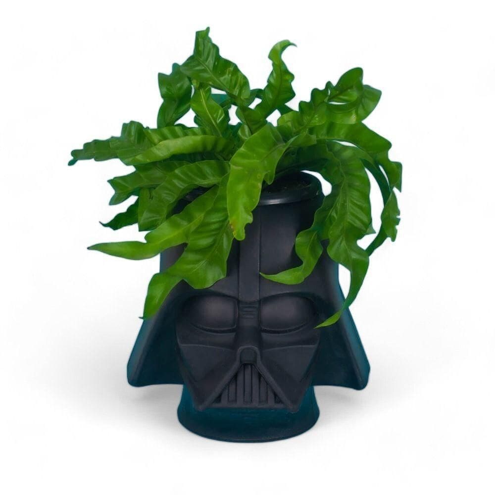 Cachepot Darth Vader: Estilo E Força Na Decoração Star Wars