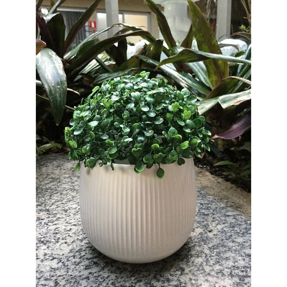 Vaso Planta Cachepô  Decorativo de Cerâmica 12x13 Branco