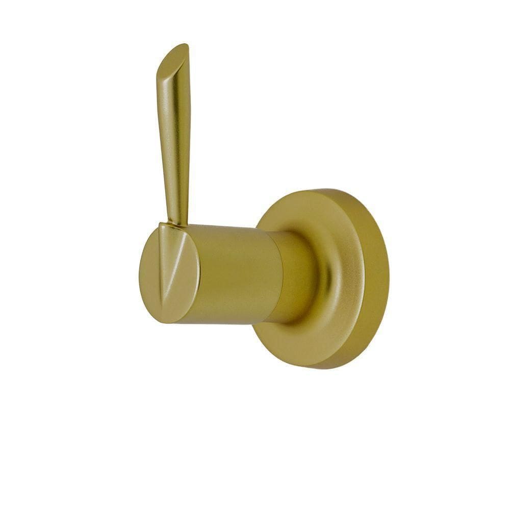 Acabamento De Registro Dourado Fosco Padrão Deca C61