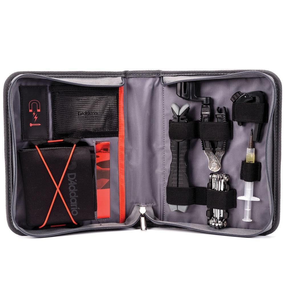 Kit De Manutenção Para Guitarra D Addario Pw-Egmk-01