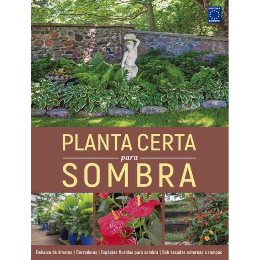 Planta Certa Para Sombra