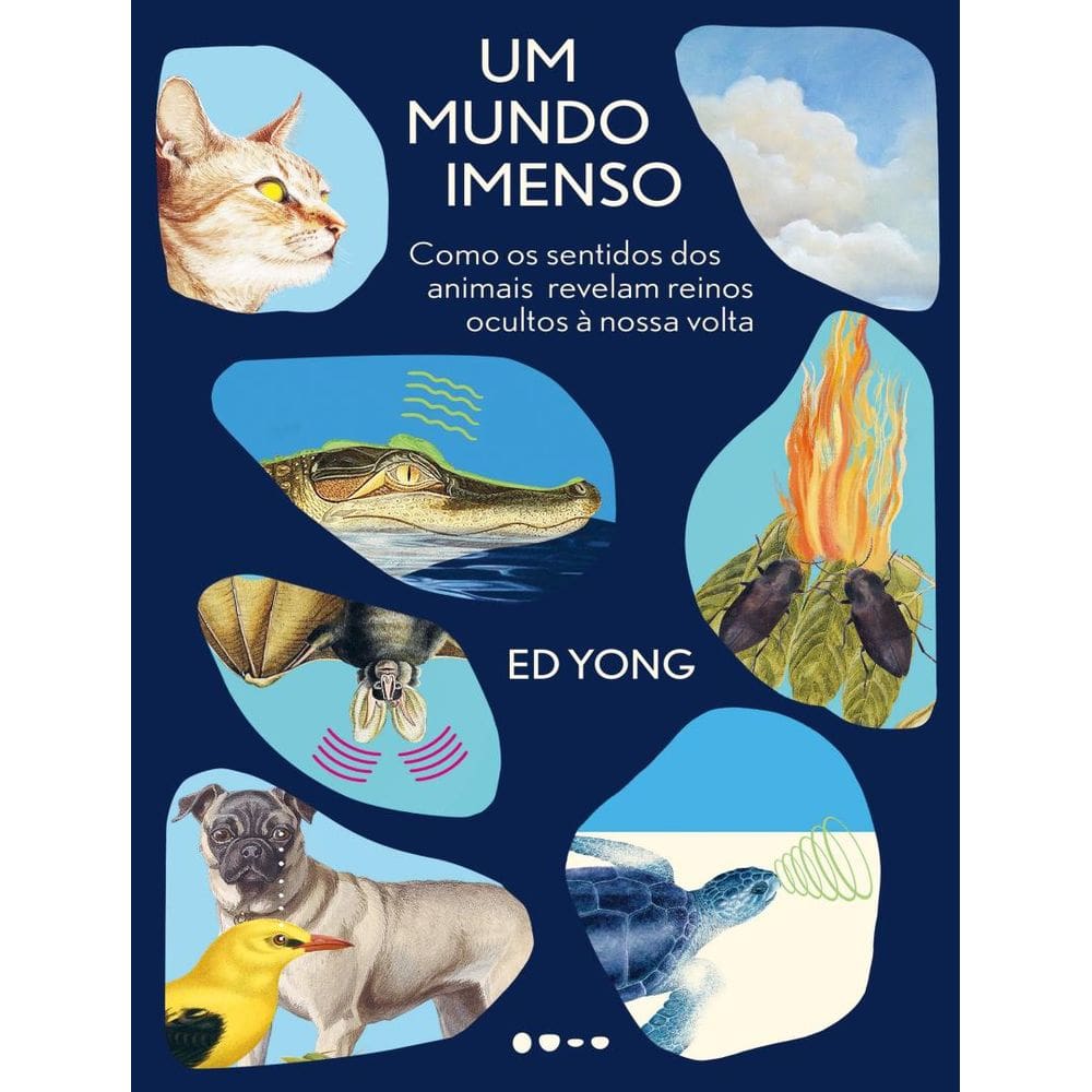 Mundo Imenso, Um