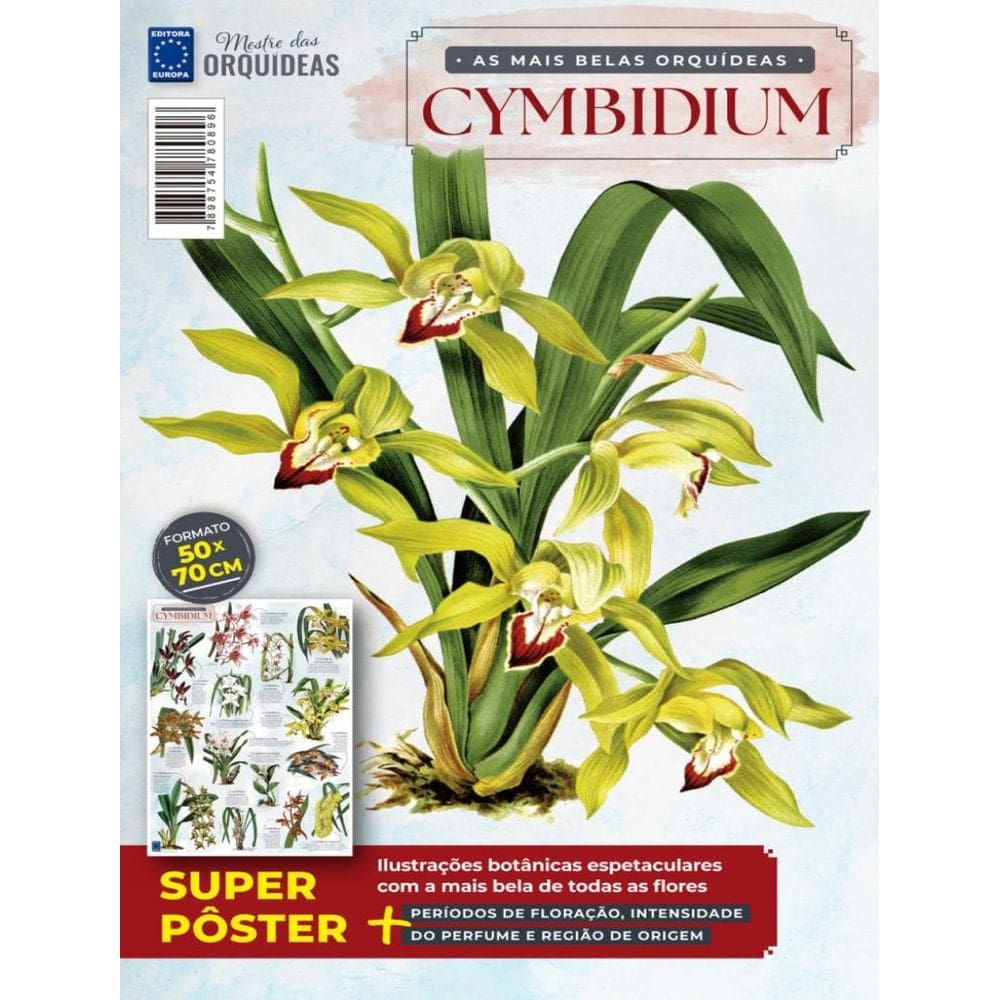 Poster Mestre Das Orquideas - As Mais Belas Orquideas Cymbidium