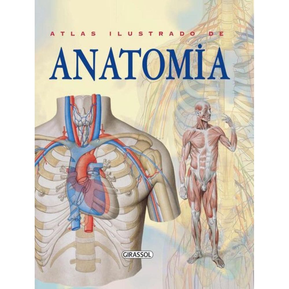 Atlas Ilustrado De Anatomia - 2ªed