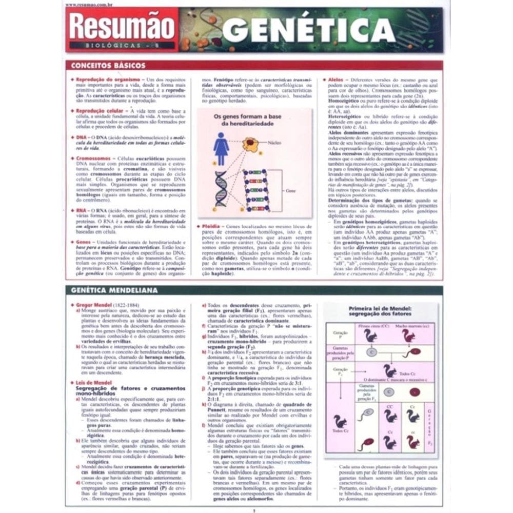 Resumao - Genetica