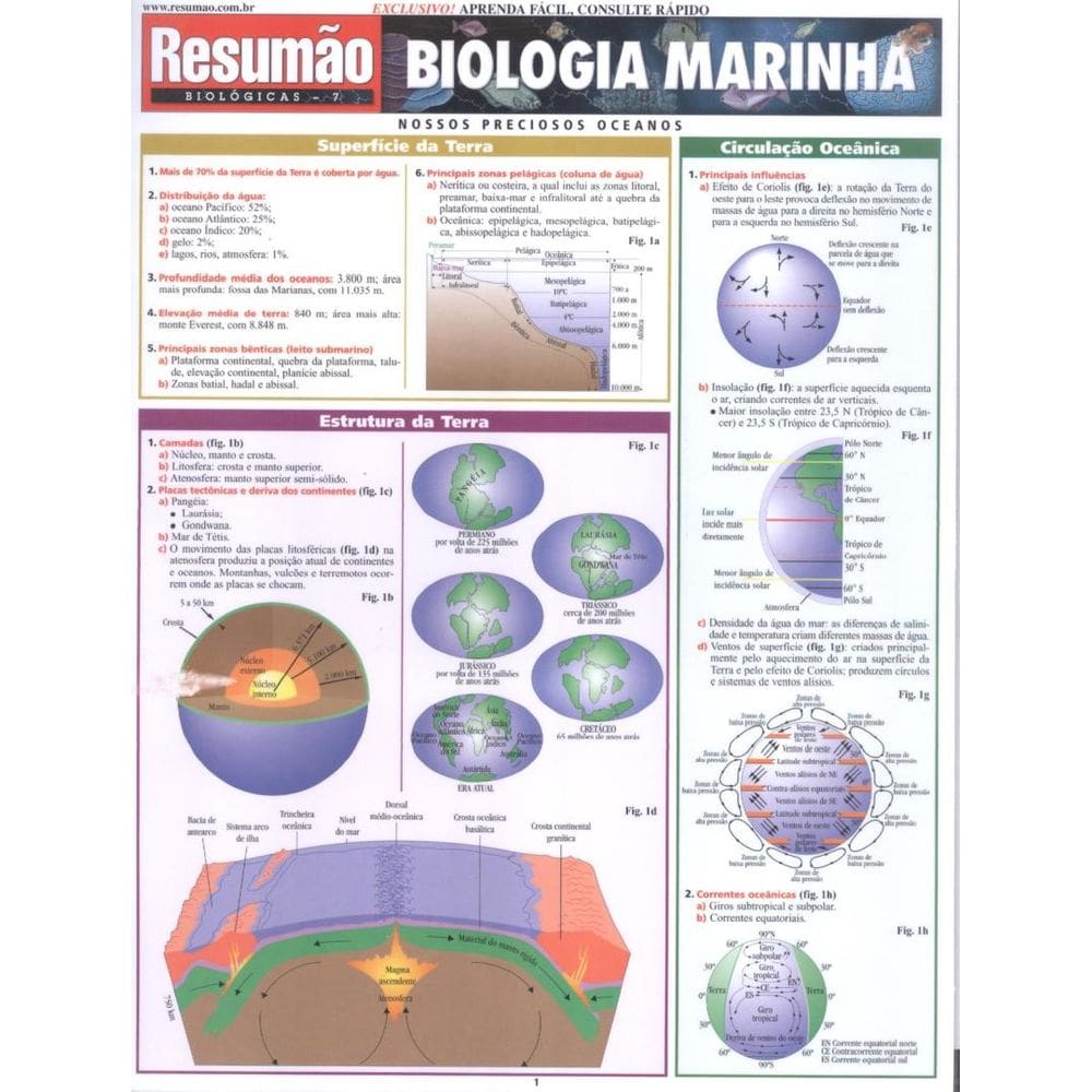 Resumao - Biologia Marinha