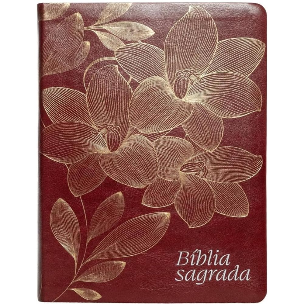 Biblia Nvi, Letra Gigante, Couro-Soft Vinho, Leitura Perfeita
