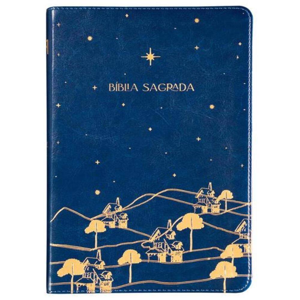 The Purpose Book - Biblia Sagrada, A21, Capa Couro-Soft Azul, Reino