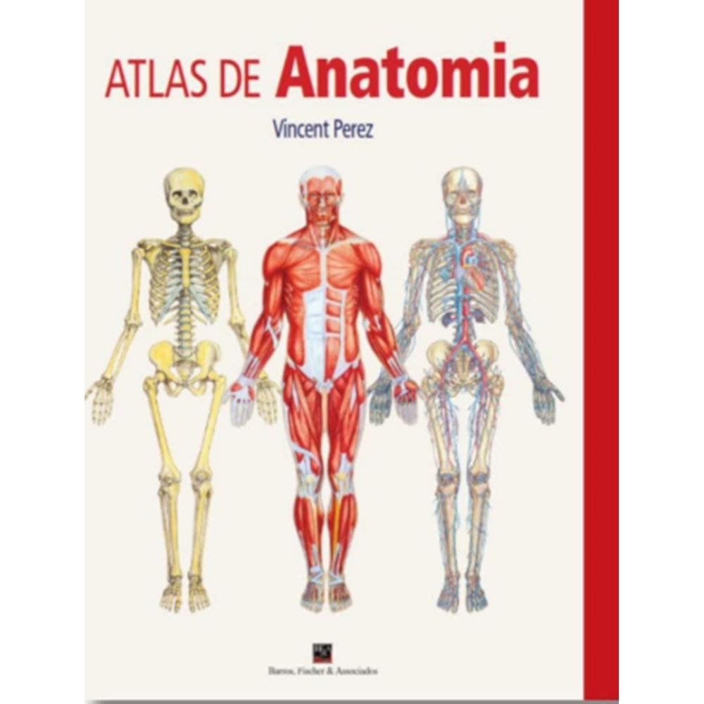 Atlas De Anatomia