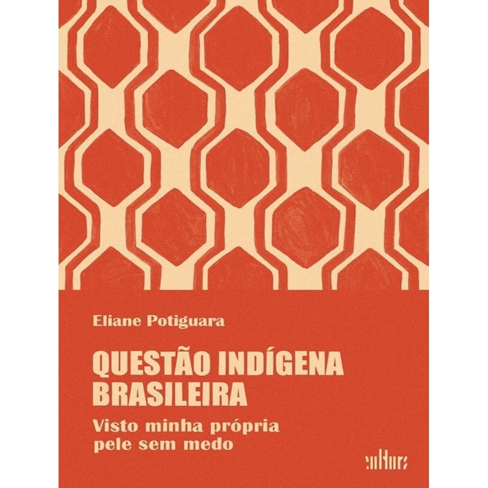 Questao Indigena Brasileira