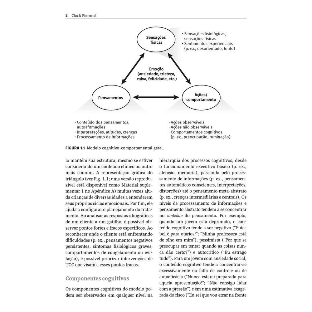 Depressão e Ansiedade Em Jovens - Planos De Tratamento e Intervenções De Terapia