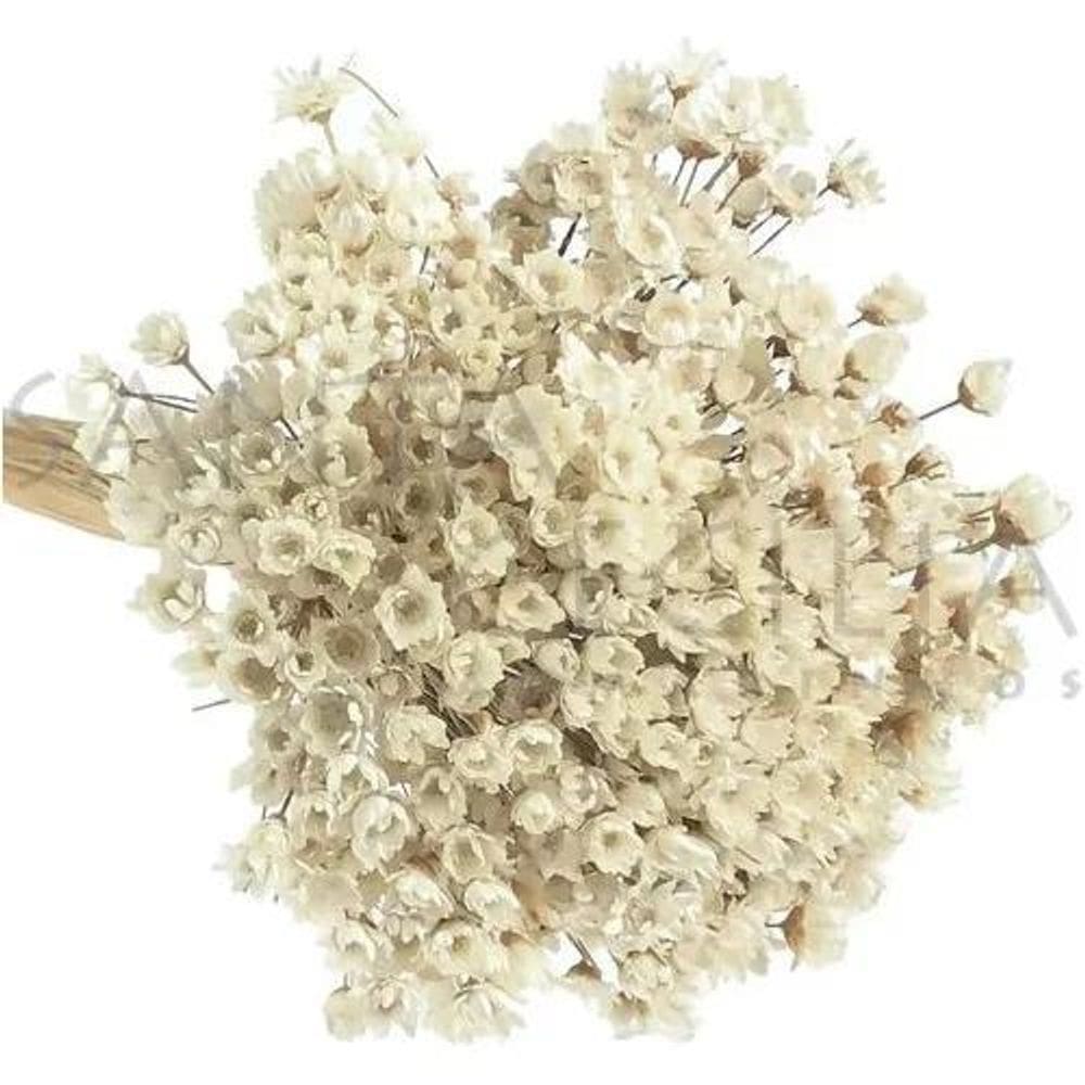 Flor Desidratada Sempre Viva C/600Un Branca Decoração Festa