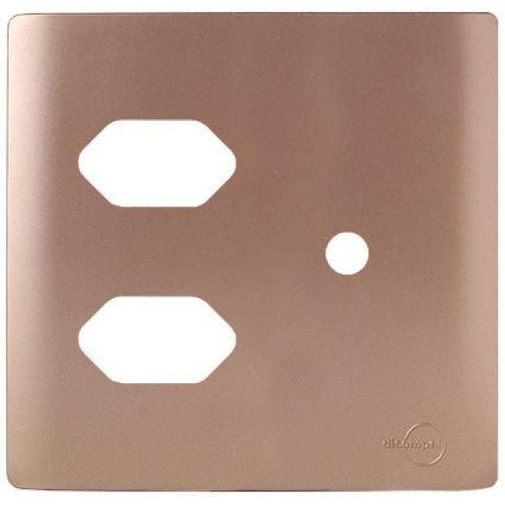 Placa 2 Tomadas + Furo Com Suporte 4X4 - Novara Ouro Rose