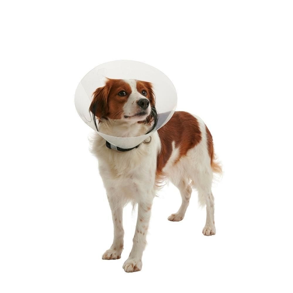 Colar Elizabetano Pet Cachorro Kruuse Buster Clic 12,5Cm