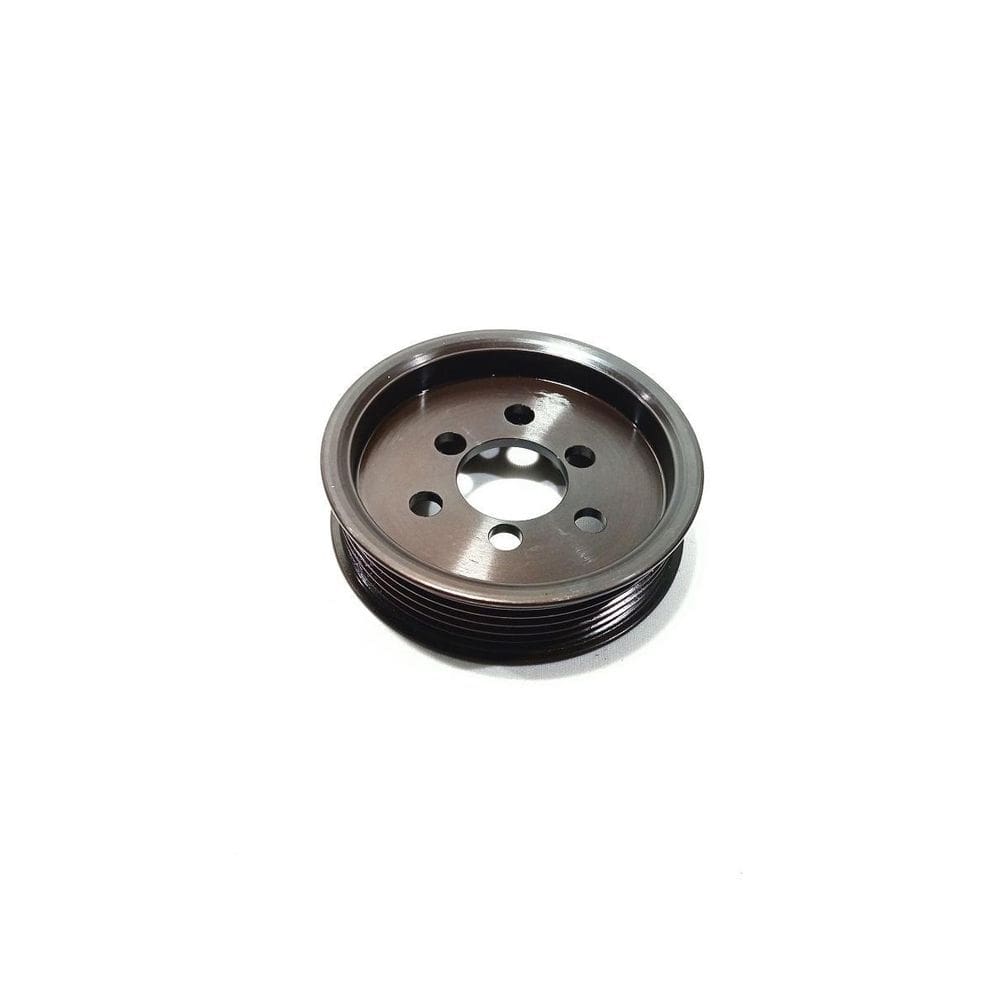 Polia Bomba Direção Hidráulica Amarok 2.0 2010/.. 6 Estrias