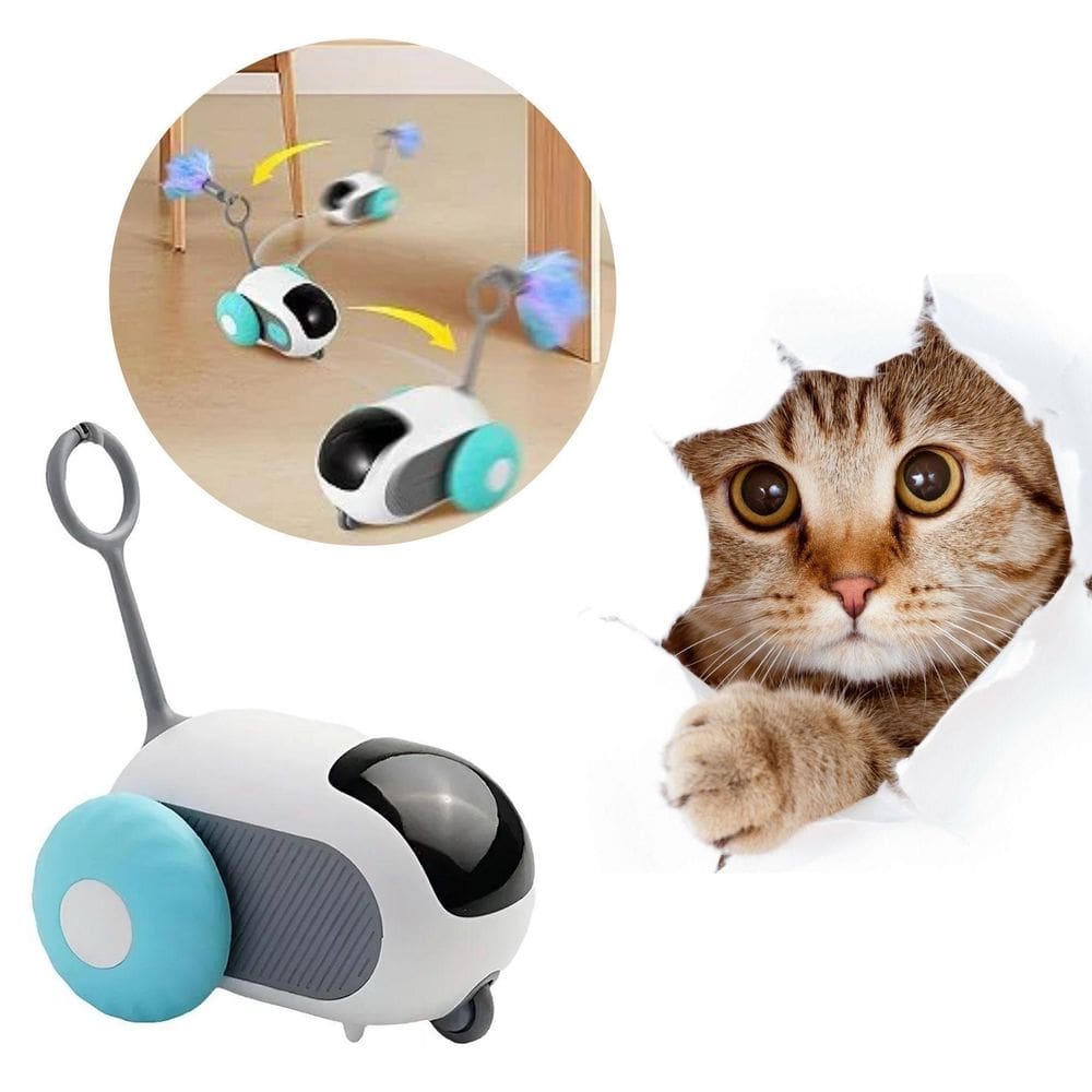 Brinquedo Interativo Para Gatos Rato Anda Sozinho Laranja