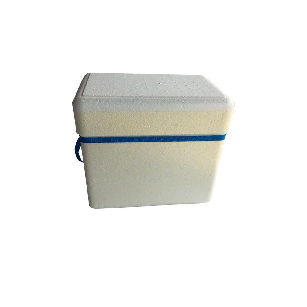 2 Caixas Térmica Isopor 13 Litros Gelo Cerveja Refri Isoterm