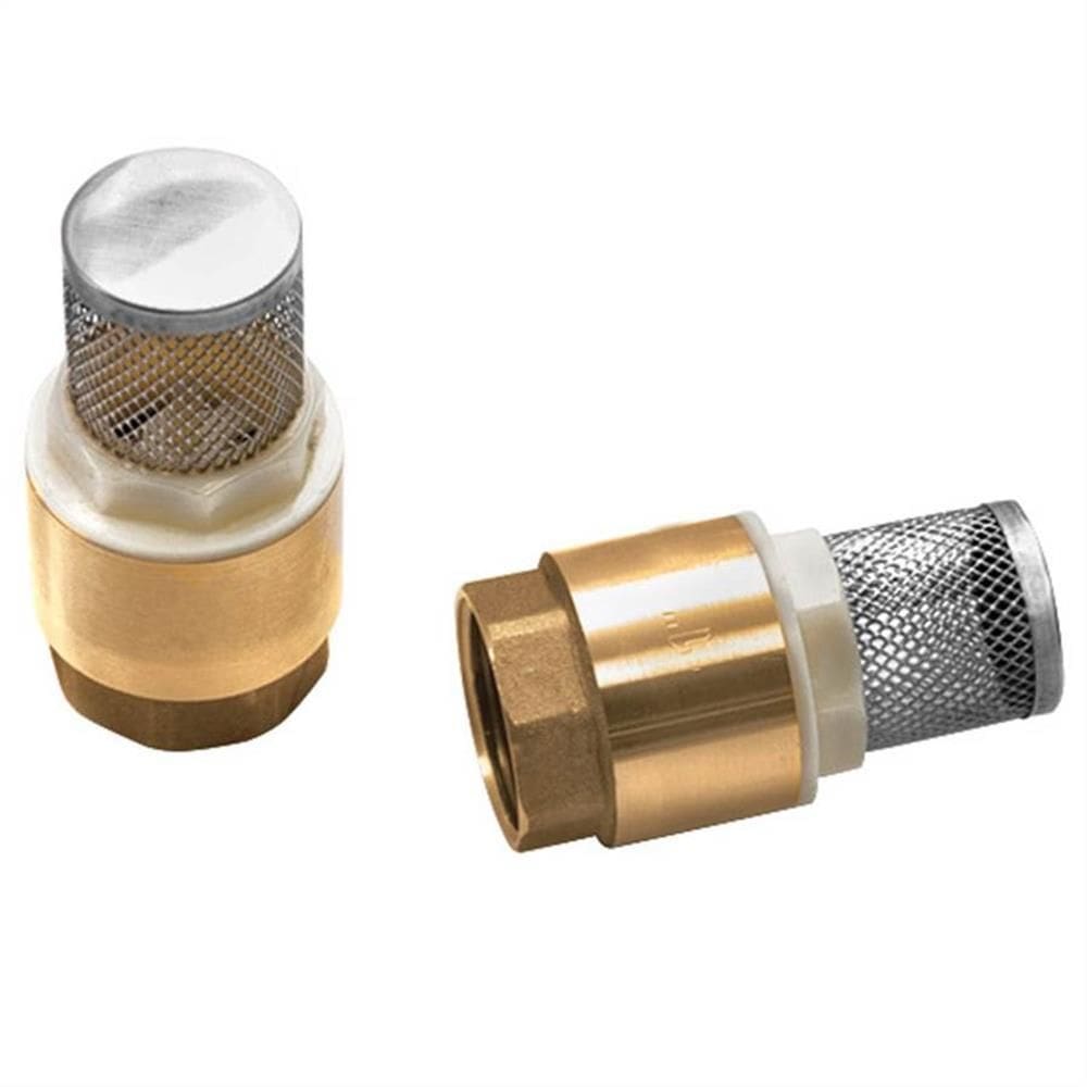 Válvula de Fundo de Poço com Tela Inox 1` - RMD/R170C - REMADI