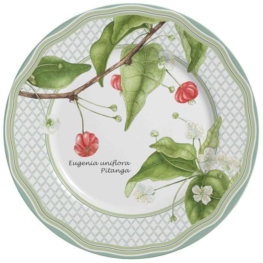 Prato Raso Pitanga 6Pcs - Alleanza Cerâmica