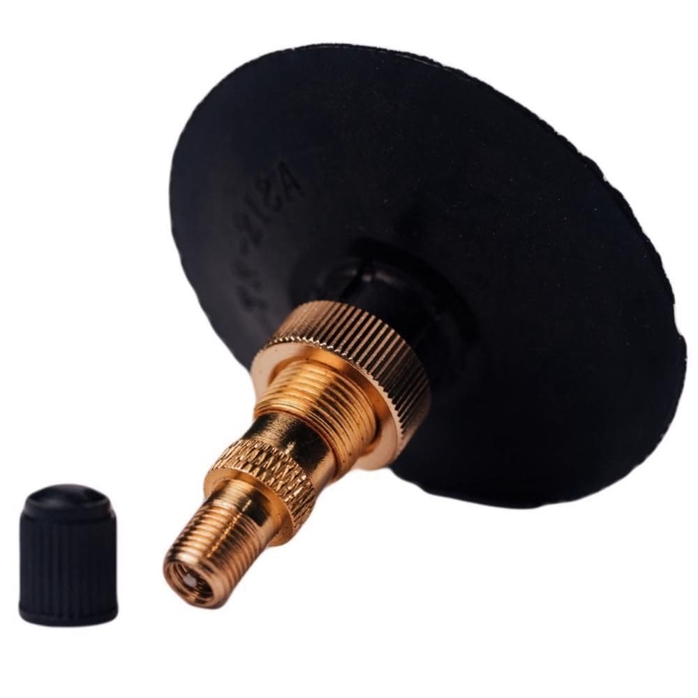 Válvula Para Pneu Com Câmara Tr-218A Fiontar