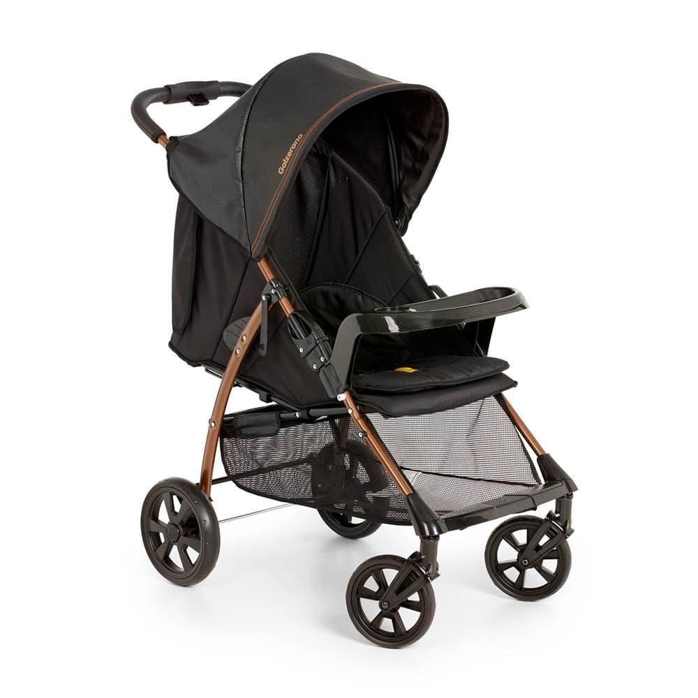 Carrinho de Bebê Galzerano San Remo 1040PTC