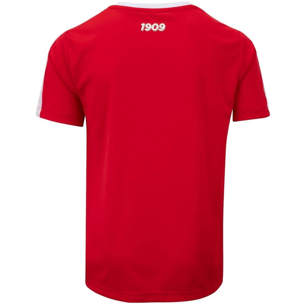 Camiseta do Internacional Infantil Colorado
