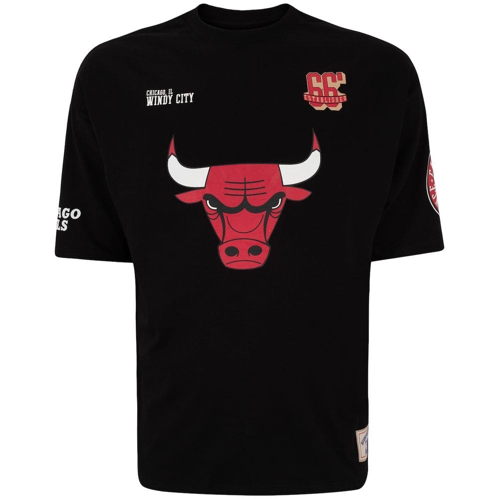 Camiseta do Chicago Bulls NBA Masculina Pennant N0539