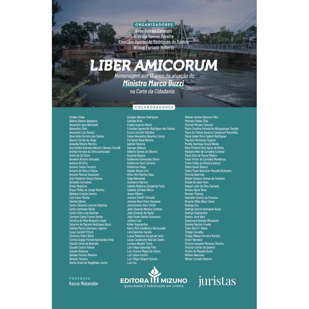 Liber Amicorum: Homenagem aos 13 anos de atuação do Ministro Marco Buzzi na Corte da Cidadania