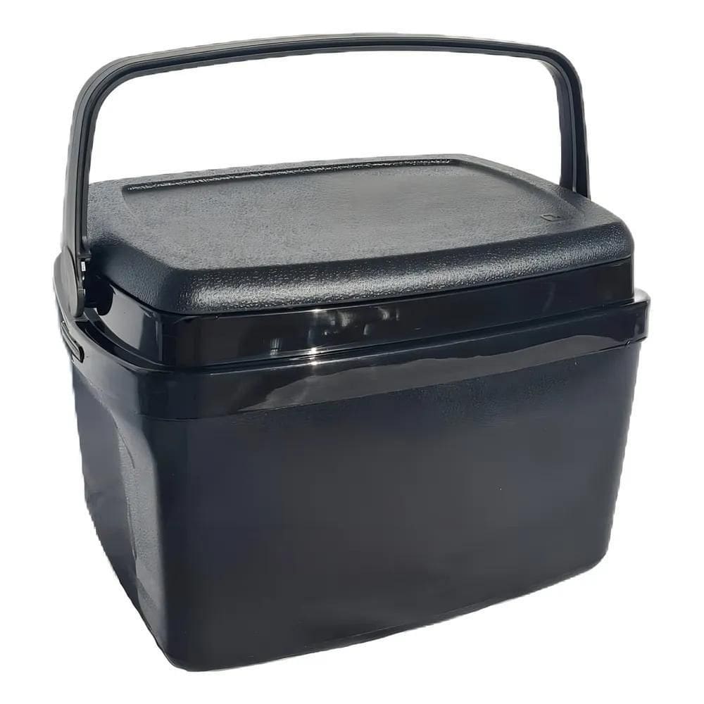 Cooler Caixa Térmica Com Alça Praia Camping Pesca 12 Litros