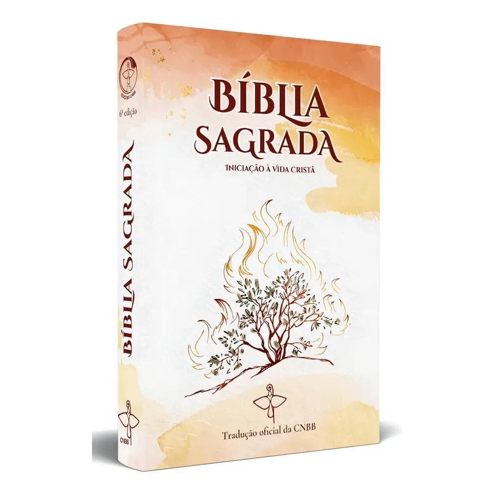 Bíblia Sagrada: Iniciação À Vida Cristã De Cnbb Editorial Cn