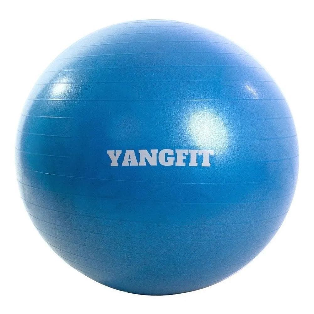 5X Bola Pilates Suíça Exercícios Yoga 55Cm Com Bomba De Infl