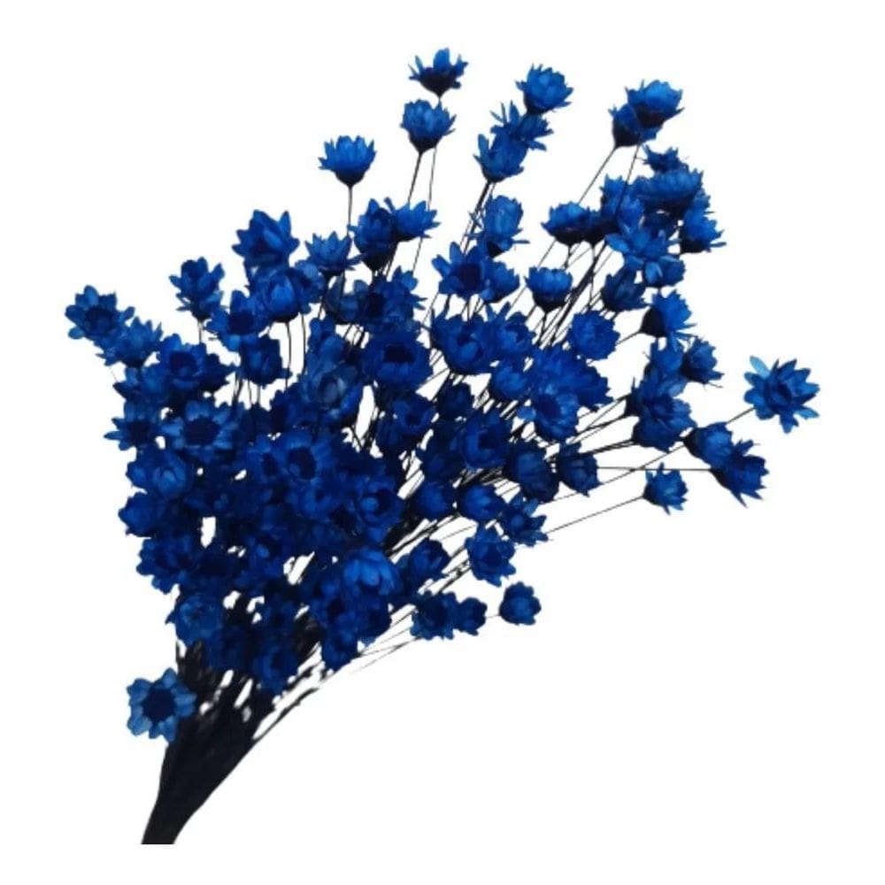 5X Sempre Viva Florzinha 500 Un. Azul Royal Decoração Arranj