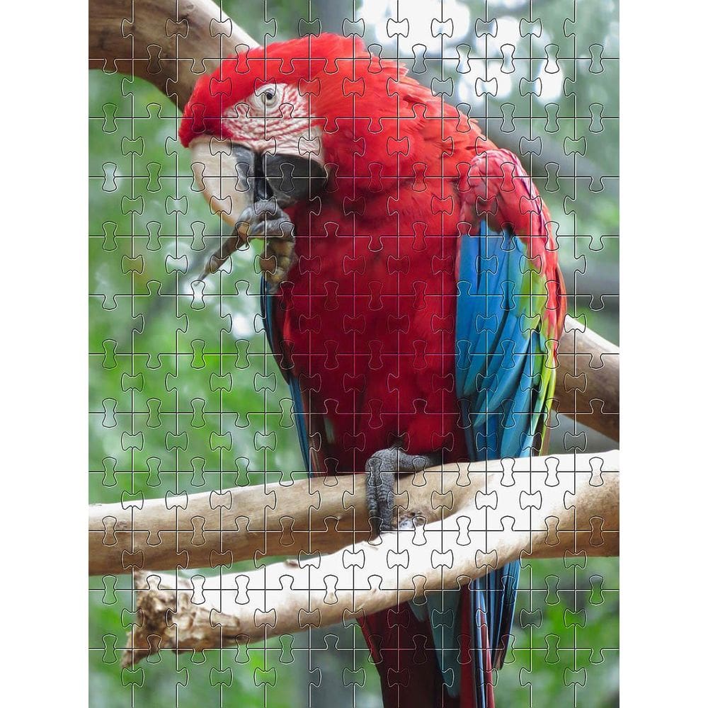 Kit Quebra-Cabeça Cognitivo Reabilitação Idosos 60 Peças