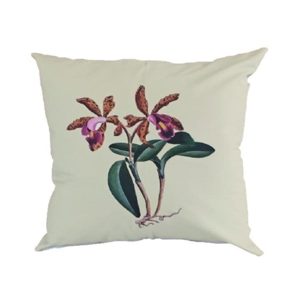 Almofada 45X45 Cattleya Quinquecolor