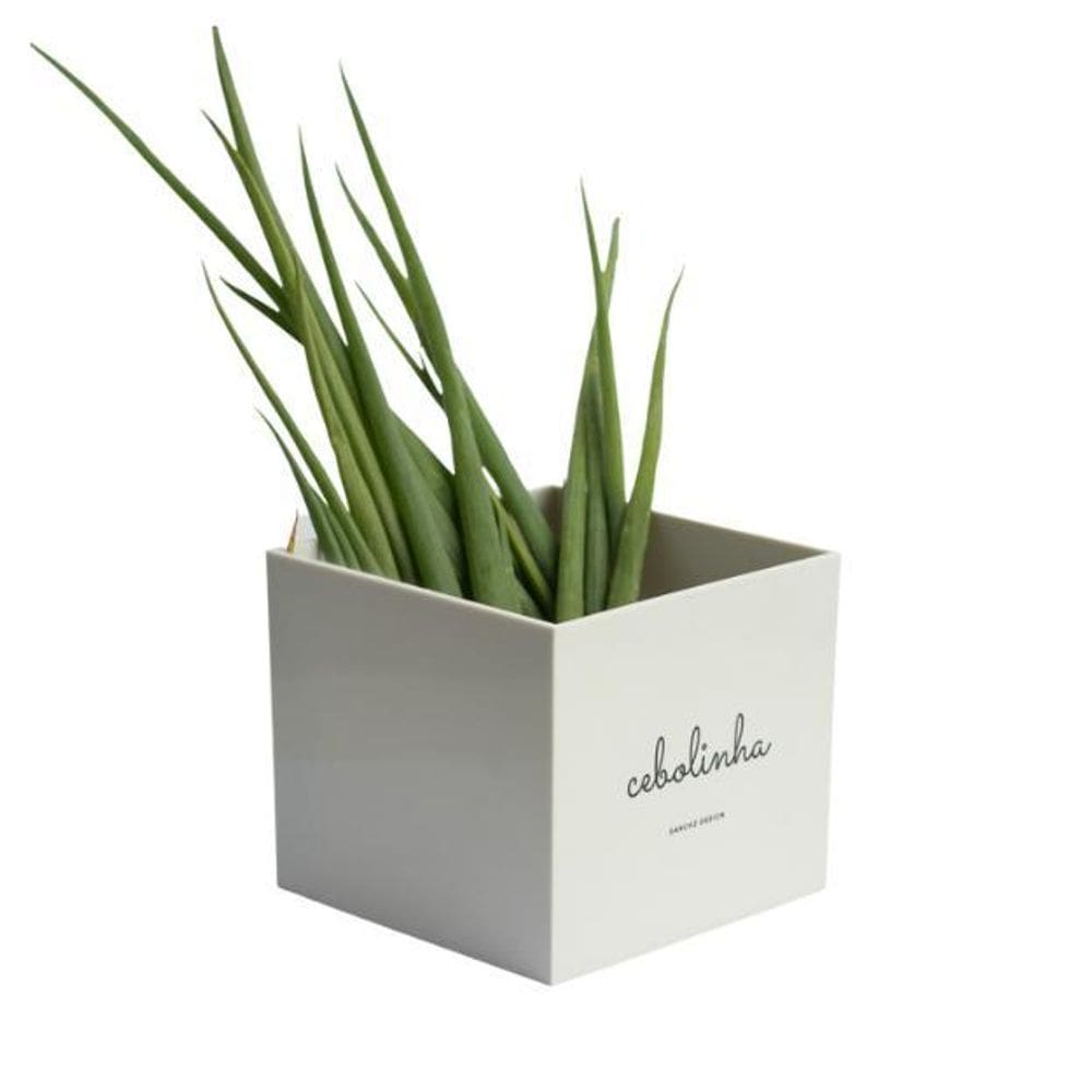 Vaso Quadrado Minha Horta - Cebolinha